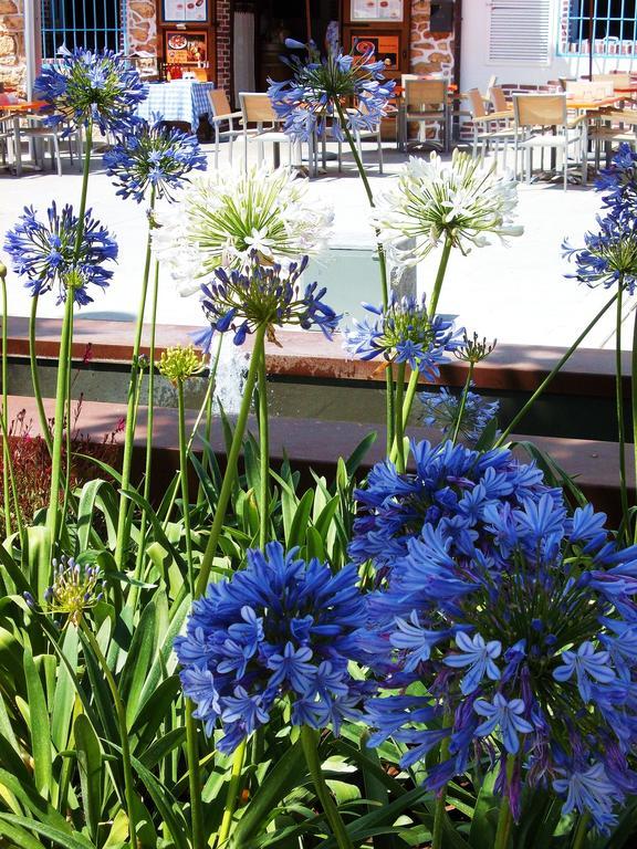 Hostal Rey Santa Eularia des Riu Exteriér fotografie